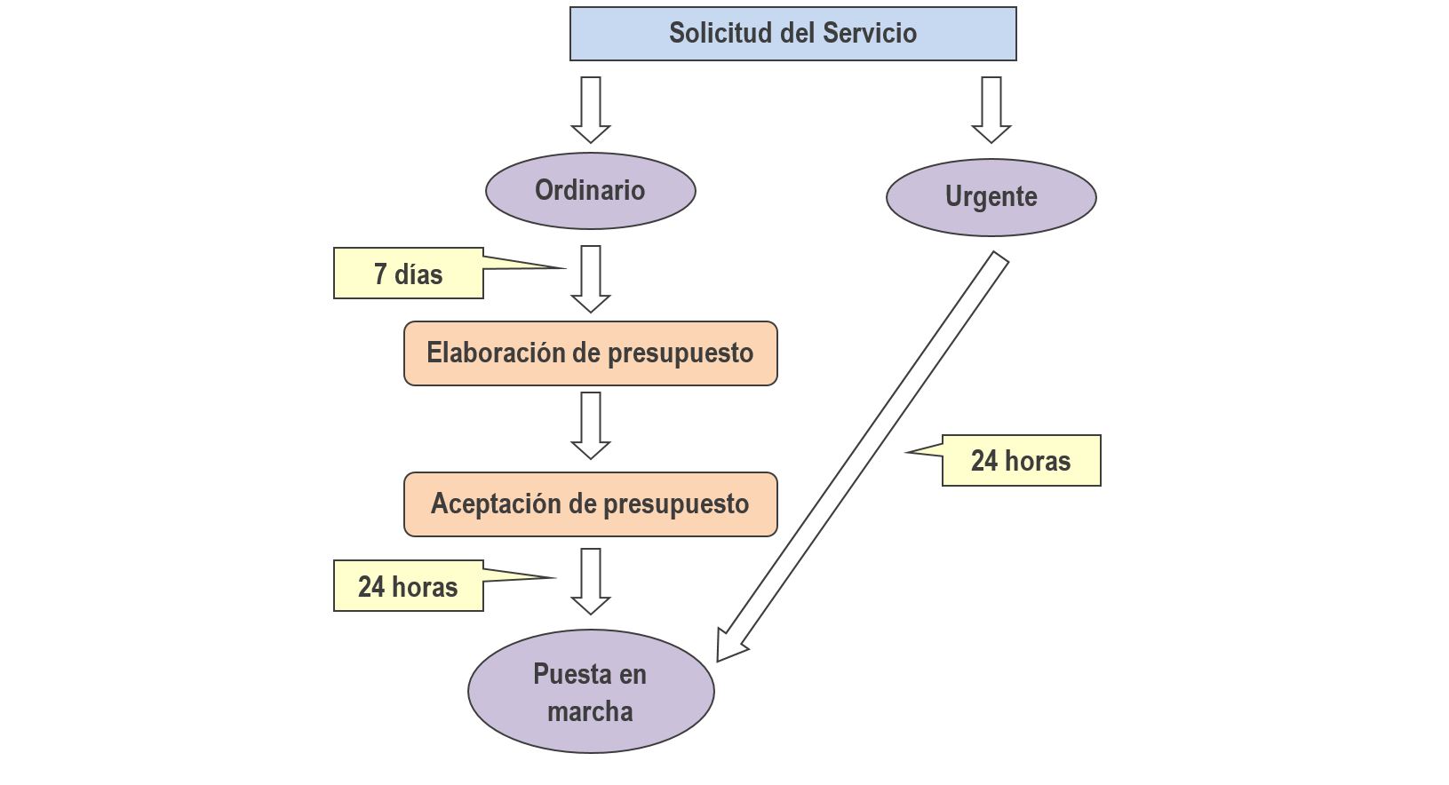 Esquema procedimiento solicitud de transporte